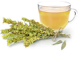 Mountain Tea Pro
